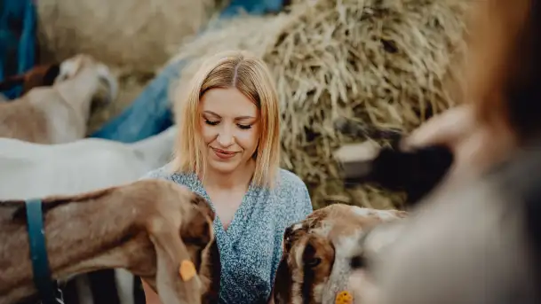 Chèvre au lait: Kozie Sery Tworzone z Pasją przez Panią Martę - zdjęcie 1