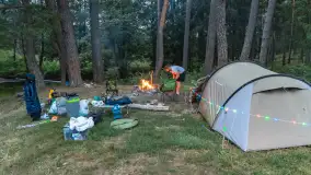 Rejs Mazury24 Omegą po Sapinie, sierpień 2024 r. - zdjęcie 22