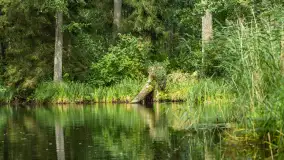 Rejs Mazury24 Omegą po Sapinie, sierpień 2024 r. - zdjęcie 33