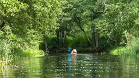 Rejs Mazury24 Omegą po Sapinie, sierpień 2024 r. - zdjęcie 45