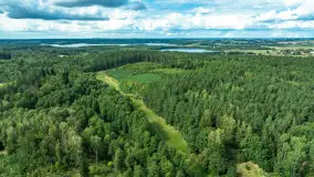 Rejs Mazury24 Omegą po Sapinie, sierpień 2024 r. - zdjęcie 41