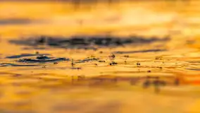 Sierpniony zachód nad jeziorem Dargin 2024 - zdjęcie 12