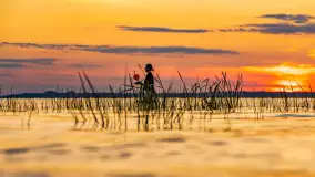 Sierpniony zachód nad jeziorem Dargin 2024 - zdjęcie 13