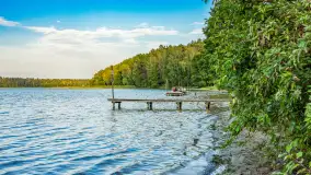 Puszcza Piska na początku września 2024 r. - zdjęcie 25