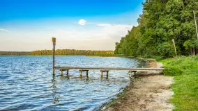 Puszcza Piska na początku września 2024 r. - zdjęcie 12