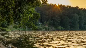 Puszcza Piska na początku września 2024 r. - zdjęcie 14