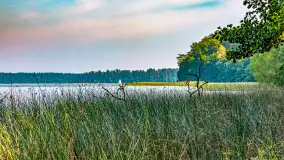 Puszcza Piska na początku września 2024 r. - zdjęcie 47