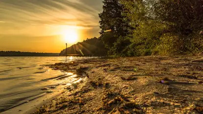 Puszcza Piska na początku września 2024 r.