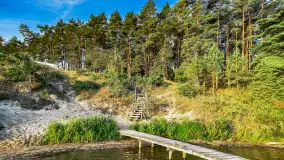 Puszcza Piska na początku września 2024 r. - zdjęcie 100