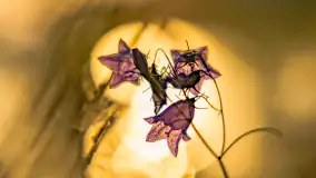 Puszcza Piska na początku września 2024 r. - zdjęcie 77