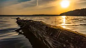 Puszcza Piska na początku września 2024 r. - zdjęcie 110