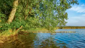 Puszcza Piska na początku września 2024 r. - zdjęcie 97