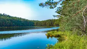 Puszcza Piska na początku września 2024 r. - zdjęcie 108