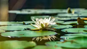 Puszcza Piska na początku września 2024 r. - zdjęcie 131