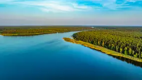 Puszcza Piska na początku września 2024 r. - zdjęcie 90