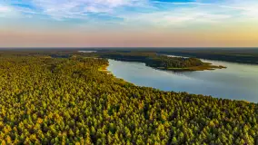 Puszcza Piska na początku września 2024 r. - zdjęcie 144