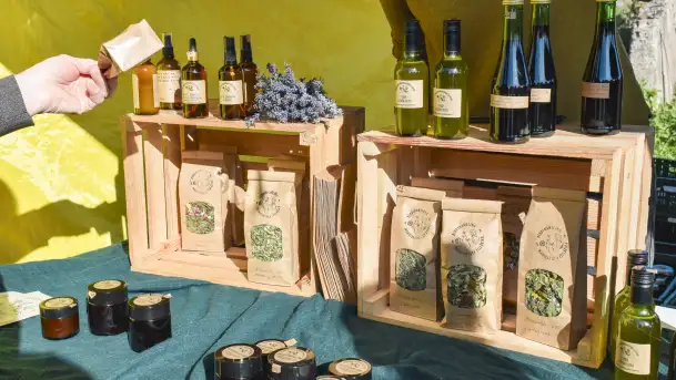 Fotorelacja z Mazurskiego Redyku w Sołdanach, październik 2024 - zdjęcie 9