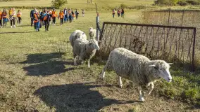 Fotorelacja z Mazurskiego Redyku w Sołdanach, październik 2024 - zdjęcie 57