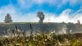 Mgły nad mazurskimi polami i łąkami, październik 2024 r. - zdjęcie 12