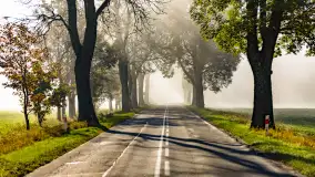 Mgły nad mazurskimi polami i łąkami, październik 2024 r. - zdjęcie 3