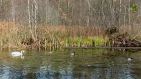 Krutynia na początku listopada 2024 - zdjęcie 18