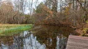 Krutynia na początku listopada 2024 - zdjęcie 24