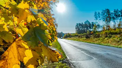 Podsumowanie mazurskiej, złotej jesieni 2024, cz. I