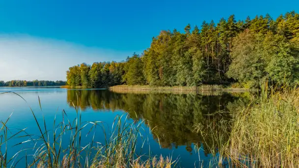 Podsumowanie mazurskiej, złotej jesieni 2024, cz. I - zdjęcie 11