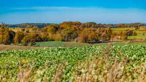 Podsumowanie mazurskiej, złotej jesieni 2024, cz. I - zdjęcie 54