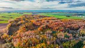 Podsumowanie mazurskiej, złotej jesieni 2024, cz. I - zdjęcie 46