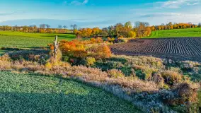 Podsumowanie mazurskiej, złotej jesieni 2024, cz. I - zdjęcie 27