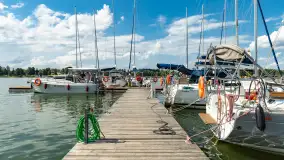 Tło dla Mew, sezon 2024 r. - zdjęcie 20