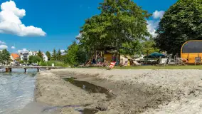 Tło dla Mew, sezon 2024 r. - zdjęcie 15