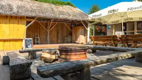 Tło dla Mew, sezon 2024 r. - zdjęcie 7