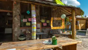 Tło dla Mew, sezon 2024 r. - zdjęcie 16