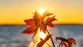 Sierpniowy zachód słońca, jezioro Kisajno i mazurska przyroda - zdjęcie 5