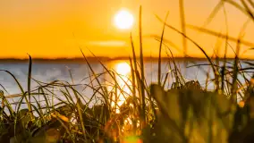 Sierpniowy zachód słońca, jezioro Kisajno i mazurska przyroda - zdjęcie 7