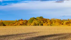 Podsumowanie mazurskiej, złotej jesieni 2024, cz. II - zdjęcie 10