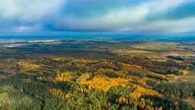Podsumowanie mazurskiej, złotej jesieni 2024, cz. II - zdjęcie 40