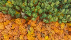 Podsumowanie mazurskiej, złotej jesieni 2024, cz. III - zdjęcie 18