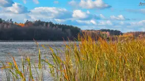 Łabędzi Ostrów w Pięknej Górze w jesiennych barwach - zdjęcie 16