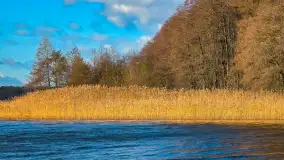 Łabędzi Ostrów w Pięknej Górze w jesiennych barwach - zdjęcie 17