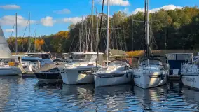 Łabędzi Ostrów w Pięknej Górze w połowie października 2024 - zdjęcie 3