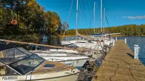 Łabędzi Ostrów w Pięknej Górze w połowie października 2024 - zdjęcie 7