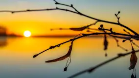 Wschód słońca nad jeziorem Dargin, most Sztynorcki, grudzień 2024 r. - zdjęcie 12