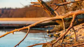 Wschód słońca nad jeziorem Dargin, most Sztynorcki, grudzień 2024 r. - zdjęcie 18