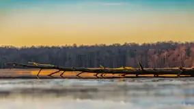 Wschód słońca nad jeziorem Dargin, most Sztynorcki, grudzień 2024 r. - zdjęcie 36