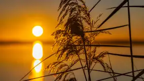 Wschód słońca nad jeziorem Dargin, most Sztynorcki, grudzień 2024 r. - zdjęcie 5