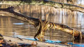 Zimowe mobilne biuro Mazury24, czyli Arek na biwaku, grudzień 2024 r. - zdjęcie 12