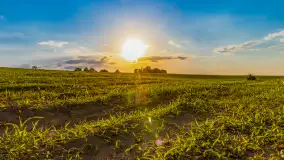 Mix mazurskich ujęć z szuflady, 2024 cz. II - zdjęcie 33